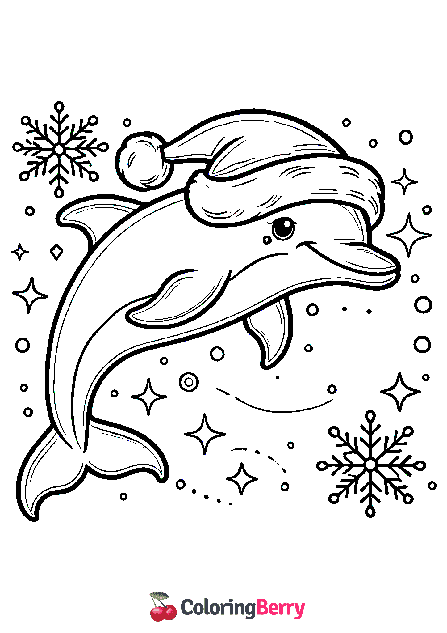 Winter Dolphin