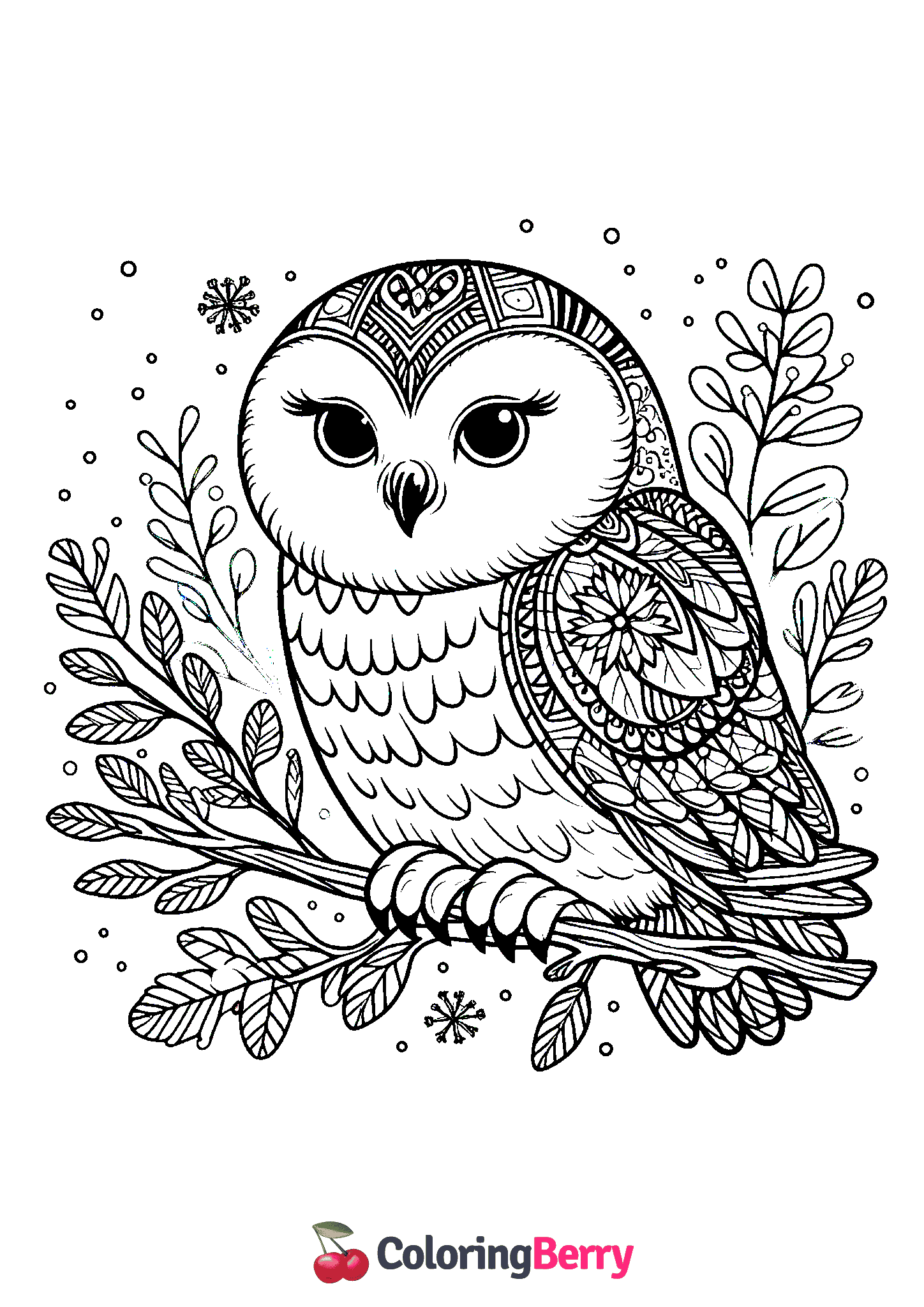 Winter Owl