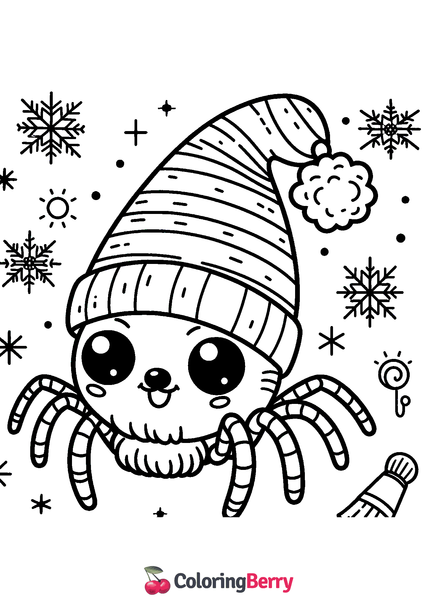 Winter Spider