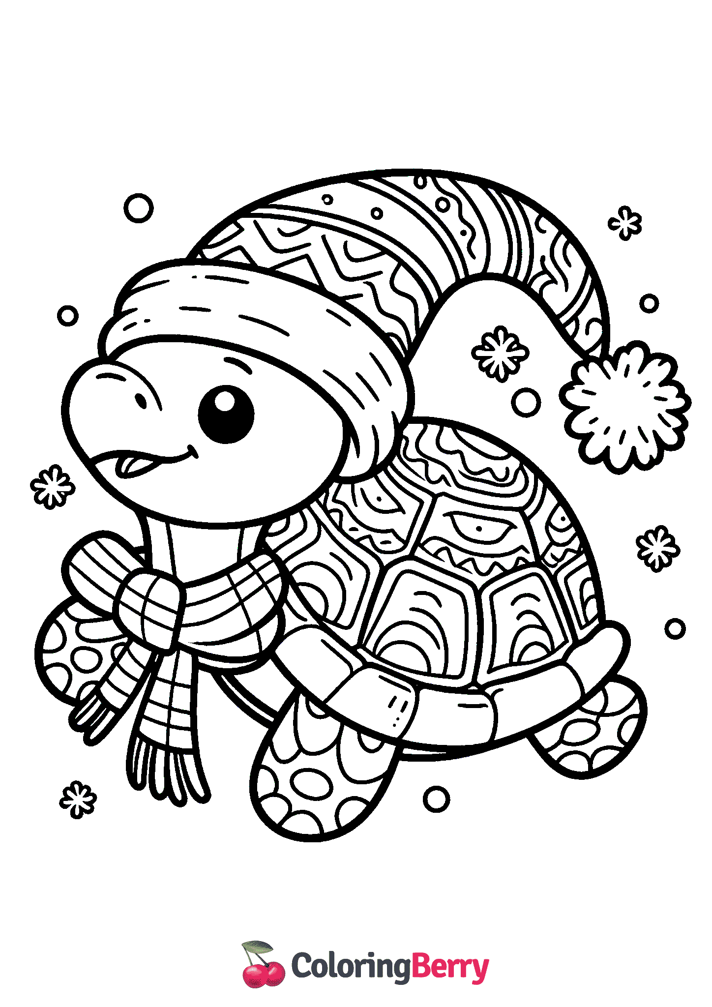 Winter Turtle