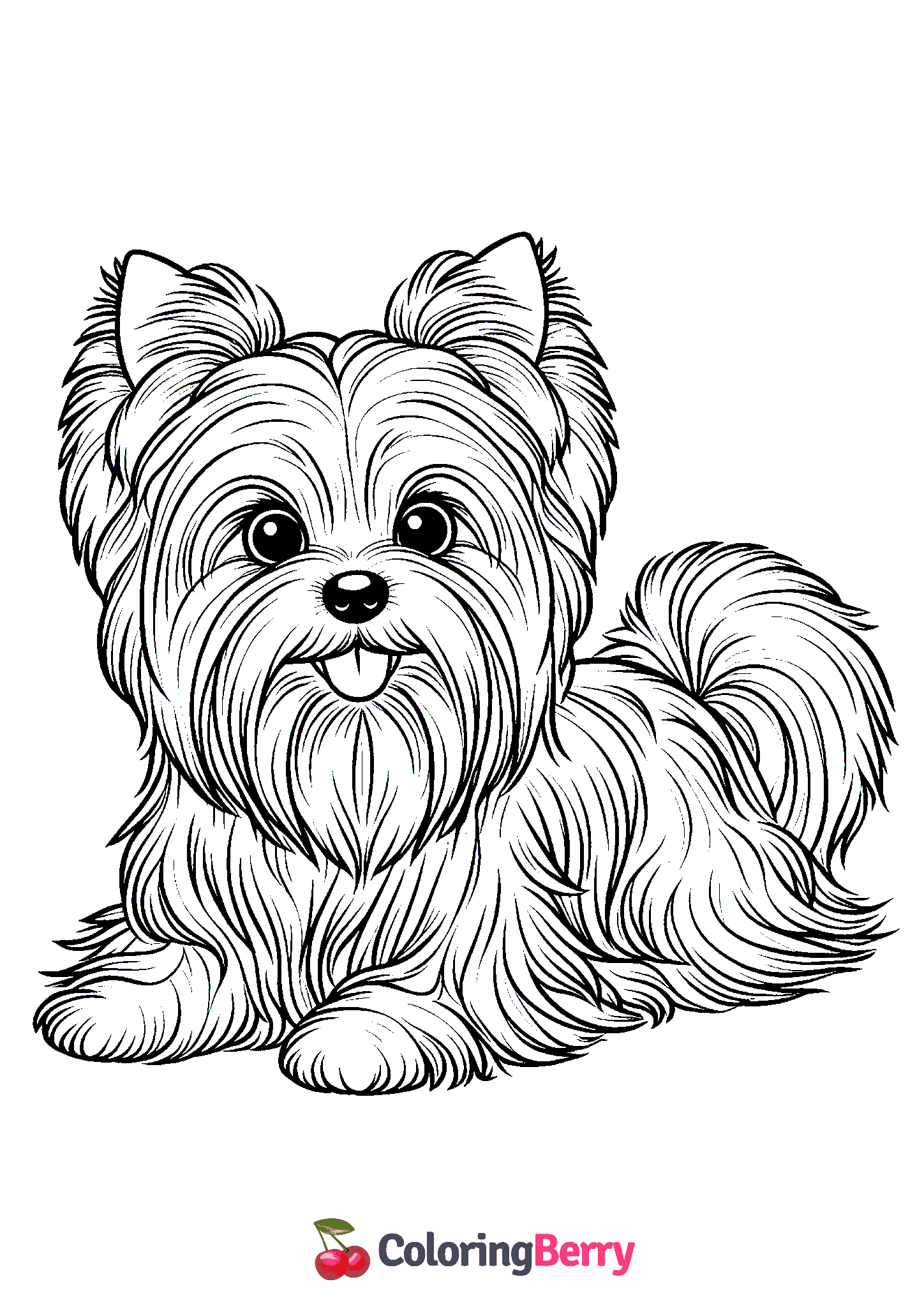 Yorkie